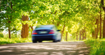 Voiture équipée de pneus été sur une route ensoleillée bordée d'arbres